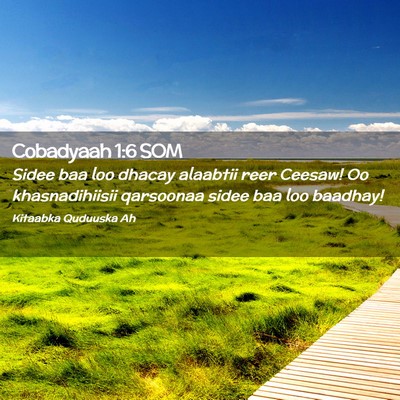 Picture 02 - Cobadyaah 1:6 SOM - Sidee baa loo dhacay alaabtii reer Ceesaw! Oo - Bible Verse Picture