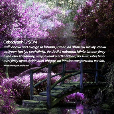 Picture 02 - Cobadyaah 1:7 SOM - Kulli dadkii aad axdiga la lahaan jirteen oo - Bible Verse Picture