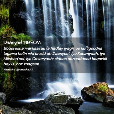 Picture 02 - Daanyeel 1:19 SOM - Boqorkiina markaasuu la hadlay iyagii, oo - Bible Verse Picture