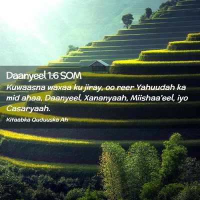 Picture 02 - Daanyeel 1:6 SOM - Kuwaasna waxaa ku jiray, oo reer Yahuudah ka mid - Bible Verse Picture