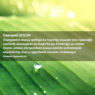 Picture 02 - Daanyeel 1:8 SOM - Daanyeelna wuxuu qalbiga ku haystay inuusan isku - Bible Verse Picture