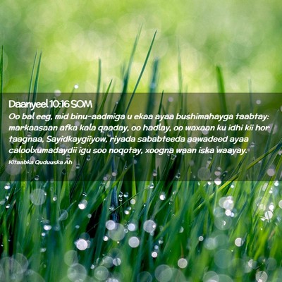 Picture 02 - Daanyeel 10:16 SOM - Oo bal eeg, mid binu-aadmiga u ekaa ayaa - Bible Verse Picture