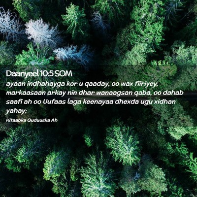Picture 02 - Daanyeel 10:5 SOM - ayaan indhahayga kor u qaaday, oo wax fiiriyey, - Bible Verse Picture