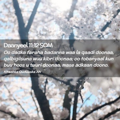 Picture 02 - Daanyeel 11:12 SOM - Oo dadka faraha badanna waa la qaadi doonaa, - Bible Verse Picture