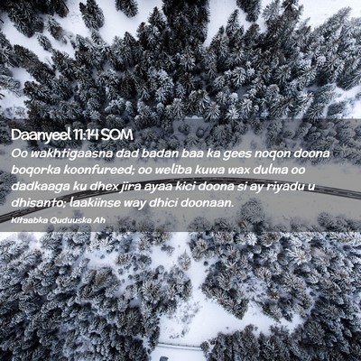 Picture 02 - Daanyeel 11:14 SOM - Oo wakhtigaasna dad badan baa ka gees noqon doona - Bible Verse Picture