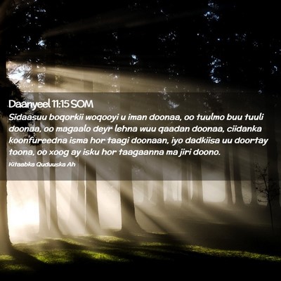 Picture 02 - Daanyeel 11:15 SOM - Sidaasuu boqorkii woqooyi u iman doonaa, oo - Bible Verse Picture