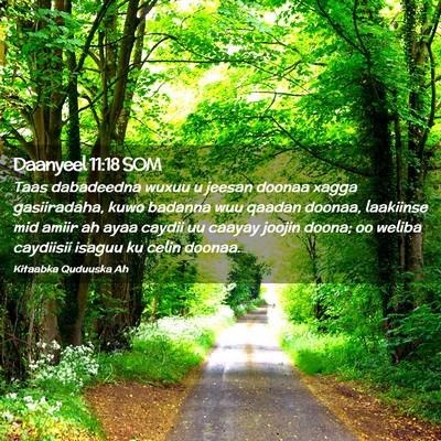 Picture 02 - Daanyeel 11:18 SOM - Taas dabadeedna wuxuu u jeesan doonaa xagga - Bible Verse Picture