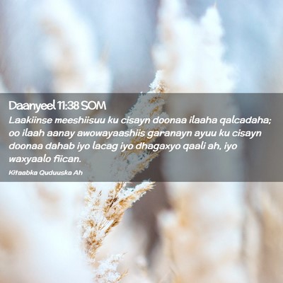 Picture 02 - Daanyeel 11:38 SOM - Laakiinse meeshiisuu ku cisayn doonaa ilaaha - Bible Verse Picture