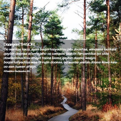 Picture 02 - Daanyeel 11:4 SOM - Oo markuu kaco, ayaa boqortooyadiisu jabi - Bible Verse Picture