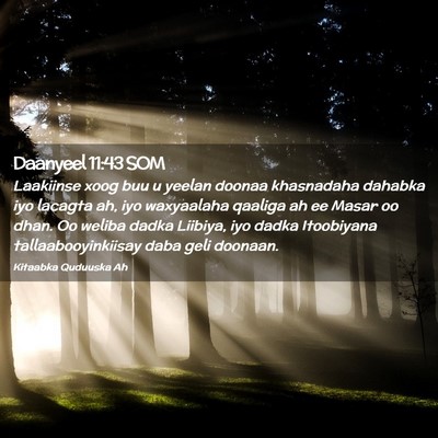 Picture 02 - Daanyeel 11:43 SOM - Laakiinse xoog buu u yeelan doonaa khasnadaha - Bible Verse Picture