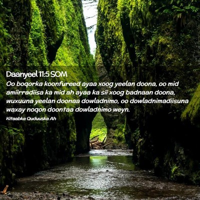 Picture 02 - Daanyeel 11:5 SOM - Oo boqorka koonfureed ayaa xoog yeelan doona, oo - Bible Verse Picture