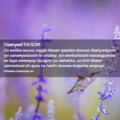 Picture 02 - Daanyeel 11:8 SOM - Oo weliba wuxuu xagga Masar qaadan doonaa - Bible Verse Picture