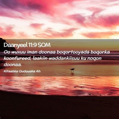 Picture 02 - Daanyeel 11:9 SOM - Oo wuxuu iman doonaa boqortooyada boqorka - Bible Verse Picture