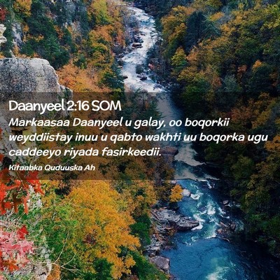 Picture 02 - Daanyeel 2:16 SOM - Markaasaa Daanyeel u galay, oo boqorkii - Bible Verse Picture