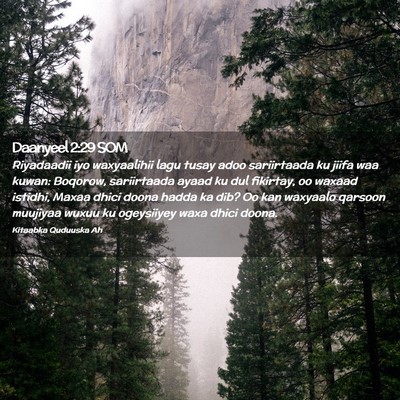 Picture 02 - Daanyeel 2:29 SOM - Riyadaadii iyo waxyaalihii lagu tusay adoo - Bible Verse Picture