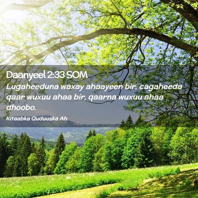 Picture 02 - Daanyeel 2:33 SOM - Lugaheeduna waxay ahaayeen bir, cagaheeda qaar - Bible Verse Picture