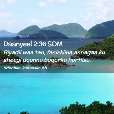 Picture 02 - Daanyeel 2:36 SOM - Riyadii waa tan, fasirkiina annagaa ku sheegi - Bible Verse Picture