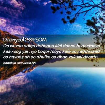 Picture 02 - Daanyeel 2:39 SOM - Oo waxaa adiga dabadaa kici doona boqortooyo kaa - Bible Verse Picture