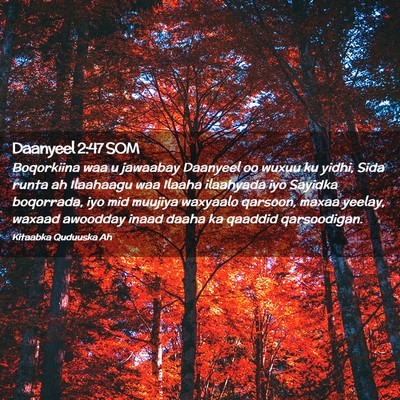 Picture 02 - Daanyeel 2:47 SOM - Boqorkiina waa u jawaabay Daanyeel oo wuxuu ku - Bible Verse Picture