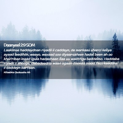 Picture 02 - Daanyeel 2:9 SOM - Laakiinse haddaydnan riyadii ii caddayn, de - Bible Verse Picture