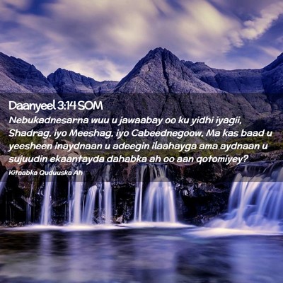 Picture 02 - Daanyeel 3:14 SOM - Nebukadnesarna wuu u jawaabay oo ku yidhi iyagii, - Bible Verse Picture