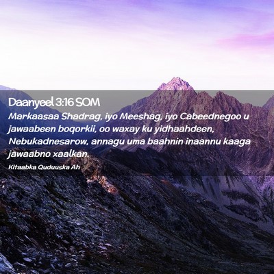 Picture 02 - Daanyeel 3:16 SOM - Markaasaa Shadrag, iyo Meeshag, iyo Cabeednegoo u - Bible Verse Picture
