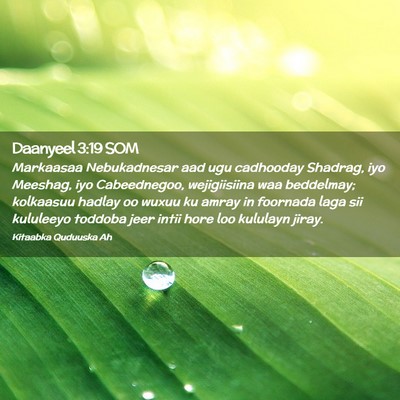 Picture 02 - Daanyeel 3:19 SOM - Markaasaa Nebukadnesar aad ugu cadhooday Shadrag, - Bible Verse Picture