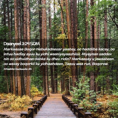 Picture 02 - Daanyeel 3:24 SOM - Markaasaa Boqor Nebukadnesar yaabay, oo haddiiba - Bible Verse Picture