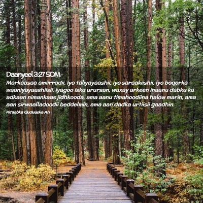 Picture 02 - Daanyeel 3:27 SOM - Markaasaa amiirradii, iyo taliyayaashii, iyo - Bible Verse Picture