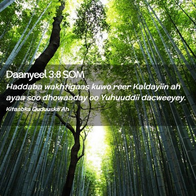 Picture 02 - Daanyeel 3:8 SOM - Haddaba wakhtigaas kuwo reer Kaldayiin ah ayaa - Bible Verse Picture