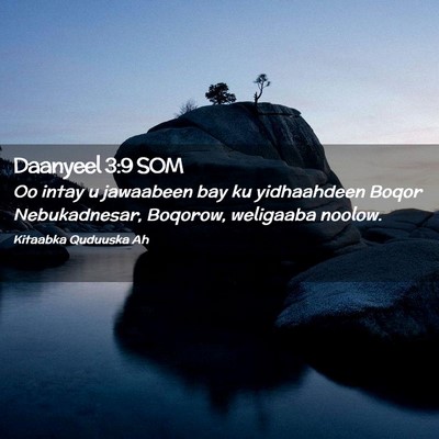 Picture 02 - Daanyeel 3:9 SOM - Oo intay u jawaabeen bay ku yidhaahdeen Boqor - Bible Verse Picture