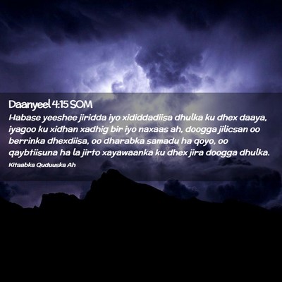 Picture 02 - Daanyeel 4:15 SOM - Habase yeeshee jiridda iyo xididdadiisa dhulka ku - Bible Verse Picture