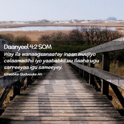 Picture 02 - Daanyeel 4:2 SOM - Way ila wanaagsanaatay inaan muujiyo calaamadihii - Bible Verse Picture