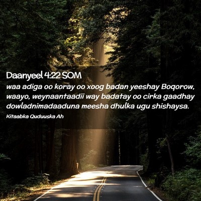 Picture 02 - Daanyeel 4:22 SOM - waa adiga oo koray oo xoog badan yeeshay Boqorow, - Bible Verse Picture