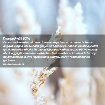 Picture 02 - Daanyeel 4:23 SOM - Oo waxaad aragtay mid wax dhawra oo quduus ah oo - Bible Verse Picture