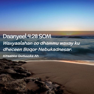Picture 02 - Daanyeel 4:28 SOM - Waxyaalahan oo dhammu waxay ku dheceen Boqor - Bible Verse Picture