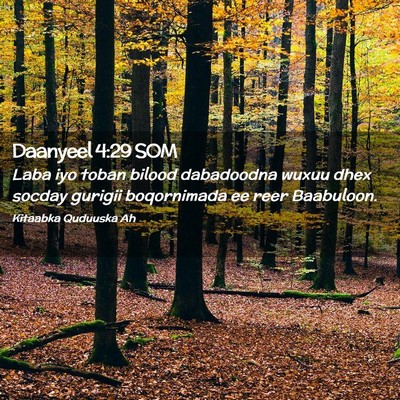 Picture 02 - Daanyeel 4:29 SOM - Laba iyo toban bilood dabadoodna wuxuu dhex - Bible Verse Picture