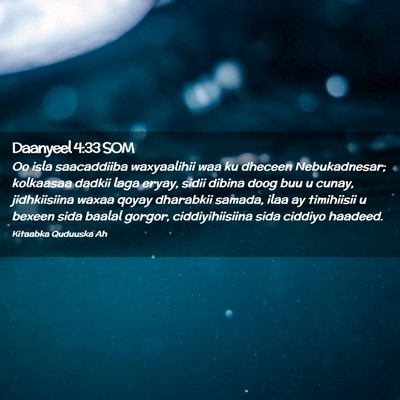 Picture 02 - Daanyeel 4:33 SOM - Oo isla saacaddiiba waxyaalihii waa ku dheceen - Bible Verse Picture