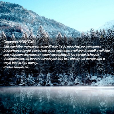 Picture 02 - Daanyeel 4:36 SOM - Isla markiiba waxgarashadaydii way ii soo - Bible Verse Picture