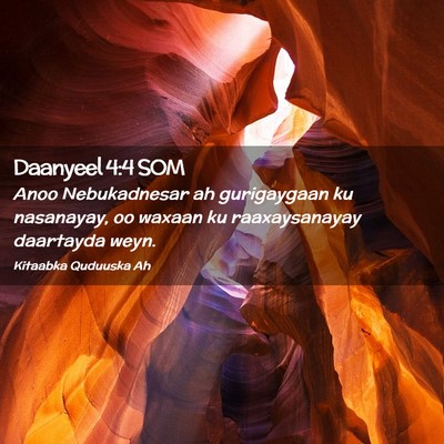 Picture 02 - Daanyeel 4:4 SOM - Anoo Nebukadnesar ah gurigaygaan ku nasanayay, oo - Bible Verse Picture