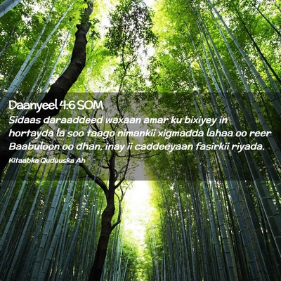 Picture 02 - Daanyeel 4:6 SOM - Sidaas daraaddeed waxaan amar ku bixiyey in - Bible Verse Picture