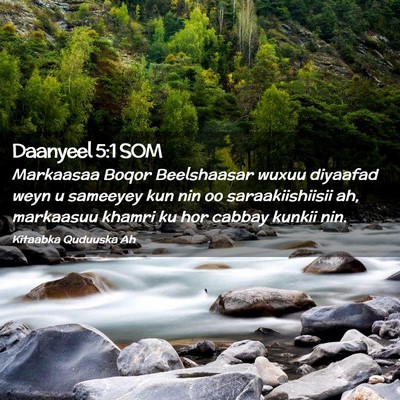 Picture 02 - Daanyeel 5:1 SOM - Markaasaa Boqor Beelshaasar wuxuu diyaafad weyn u - Bible Verse Picture