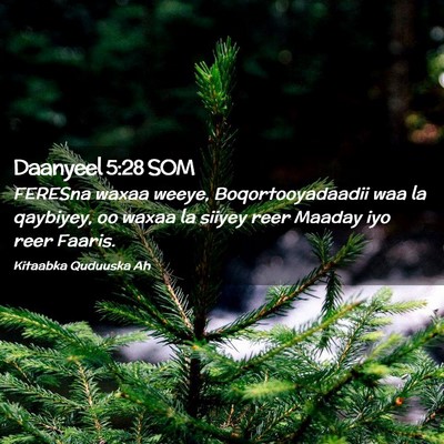 Picture 02 - Daanyeel 5:28 SOM - FERESna waxaa weeye, Boqortooyadaadii waa la - Bible Verse Picture