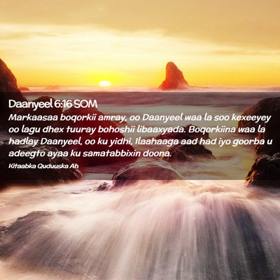 Picture 02 - Daanyeel 6:16 SOM - Markaasaa boqorkii amray, oo Daanyeel waa la soo - Bible Verse Picture