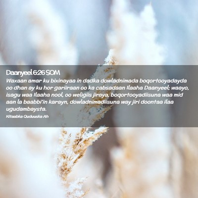 Picture 02 - Daanyeel 6:26 SOM - Waxaan amar ku bixinayaa in dadka dowladnimada - Bible Verse Picture