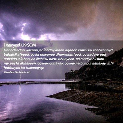 Picture 02 - Daanyeel 7:19 SOM - Dabadeedna waxaan jeclaaday inaan ogaado runtii - Bible Verse Picture