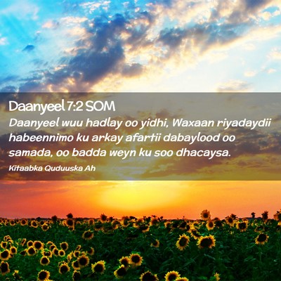 Picture 02 - Daanyeel 7:2 SOM - Daanyeel wuu hadlay oo yidhi, Waxaan riyadaydii - Bible Verse Picture