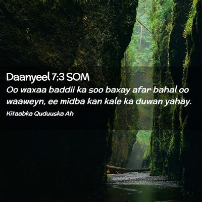 Picture 02 - Daanyeel 7:3 SOM - Oo waxaa baddii ka soo baxay afar bahal oo - Bible Verse Picture