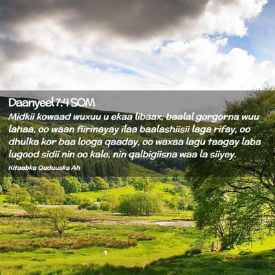 Picture 02 - Daanyeel 7:4 SOM - Midkii kowaad wuxuu u ekaa libaax, baalal - Bible Verse Picture
