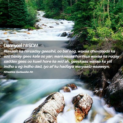 Picture 02 - Daanyeel 7:8 SOM - Waxaan ka fiirsaday geesihii, oo bal eeg, waxaa - Bible Verse Picture